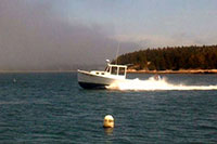 New Model: 30 Calvin Beal Boat