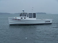 New Model: 30 Calvin Beal Boat
