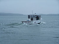 New Model: 30 Calvin Beal Boat